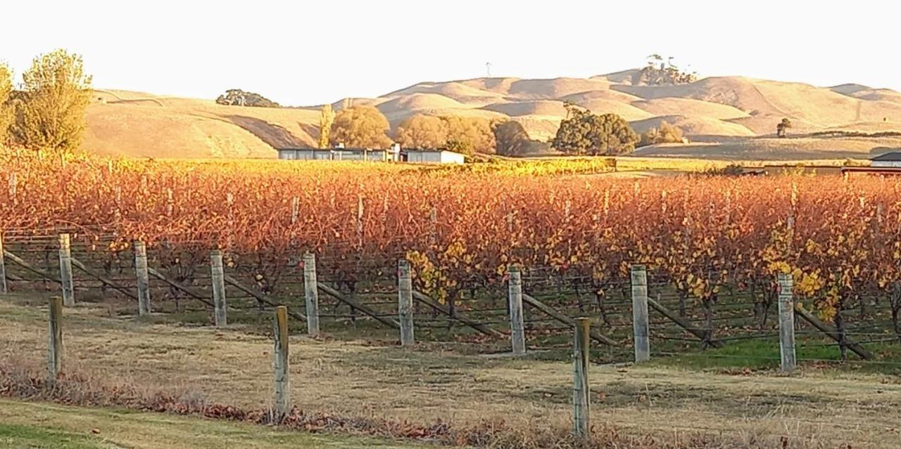 Birds Eyes Te Awanga Bed & Breakfast Exterior photo